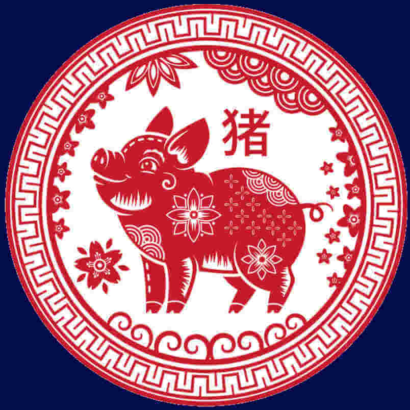 čínsky Horoskop 2021 Vepř
